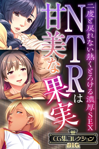 大人のSEXY絵本❤NTRは甘美な果実〜二度と戻れない熱くとろける濃厚SEX〜【CG集コレクションBIG】｜単行本